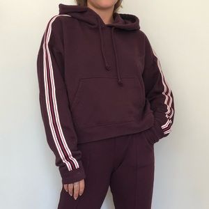 Aritzia TNA Iconic Hoodie